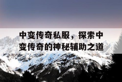 中变传奇私服,探索中变传奇的神秘辅助之道