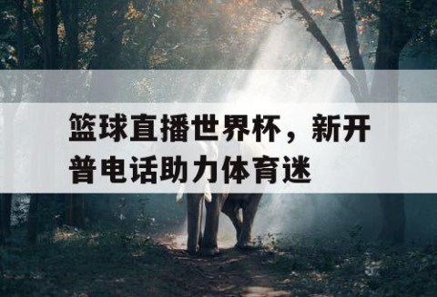 篮球直播世界杯，新开普电话助力体育迷