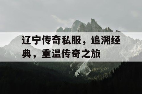 辽宁传奇私服，追溯经典，重温传奇之旅