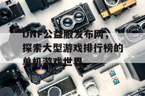 DNF公益服发布网，探索大型游戏排行榜的单机游戏世界