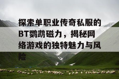 探索单职业传奇私服的BT鹦鹉磁力,揭秘网络游戏的独特魅力与风险