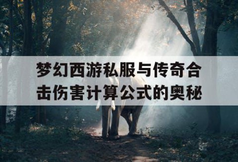 梦幻西游私服与传奇合击伤害计算公式的奥秘