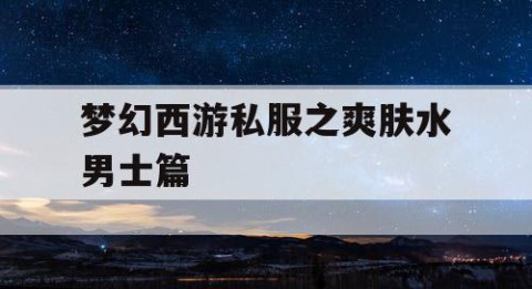 梦幻西游私服之爽肤水男士篇