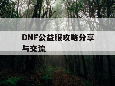 DNF公益服攻略分享与交流