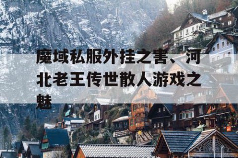 魔域私服外挂之害、河北老王传世散人游戏之魅