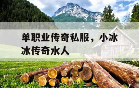 单职业传奇私服，小冰冰传奇水人