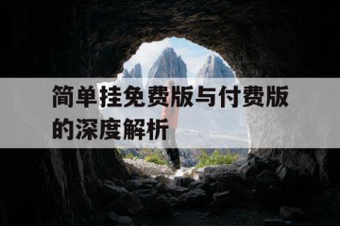 简单挂免费版与付费版的深度解析