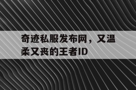 奇迹私服发布网，又温柔又丧的王者ID