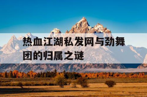 热血江湖私发网与劲舞团的归属之谜