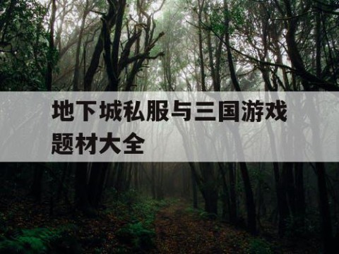 地下城私服与三国游戏题材大全