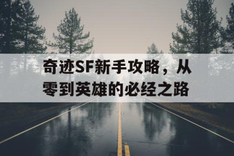 奇迹SF新手攻略，从零到英雄的必经之路