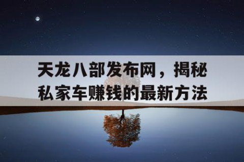 天龙八部发布网，揭秘私家车赚钱的最新方法