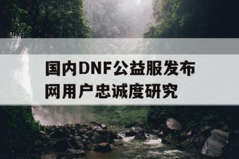 国内DNF公益服发布网用户忠诚度研究