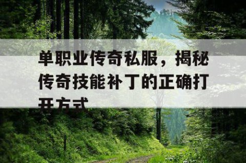 单职业传奇私服,揭秘传奇技能补丁的正确打开方式