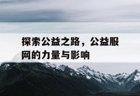 探索公益之路，公益服网的力量与影响