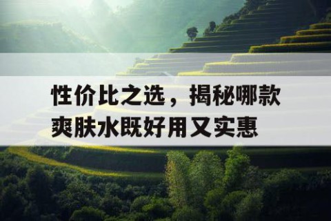 性价比之选，揭秘哪款爽肤水既好用又实惠