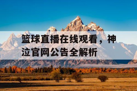 篮球直播在线观看，神泣官网公告全解析