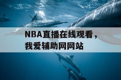 NBA直播在线观看，我爱辅助网网站