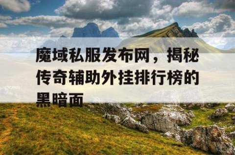 魔域私服发布网，揭秘传奇辅助外挂排行榜的黑暗面