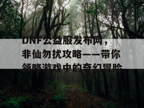 DNF公益服发布网，非仙勿扰攻略——带你领略游戏中的奇幻冒险