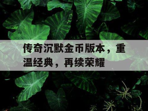 传奇沉默金币版本，重温经典，再续荣耀