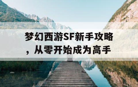 梦幻西游SF新手攻略，从零开始成为高手