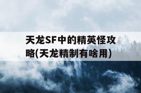 天龙SF中的精英怪攻略(天龙精制有啥用)