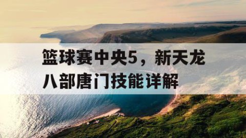 篮球赛中央5，新天龙八部唐门技能详解