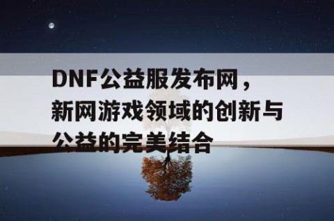 DNF公益服发布网，新网游戏领域的创新与公益的完美结合