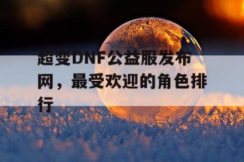 超变DNF公益服发布网，最受欢迎的角色排行