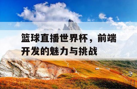 篮球直播世界杯，前端开发的魅力与挑战