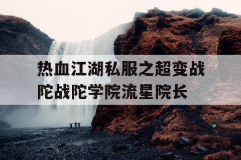 热血江湖私服之超变战陀战陀学院流星院长