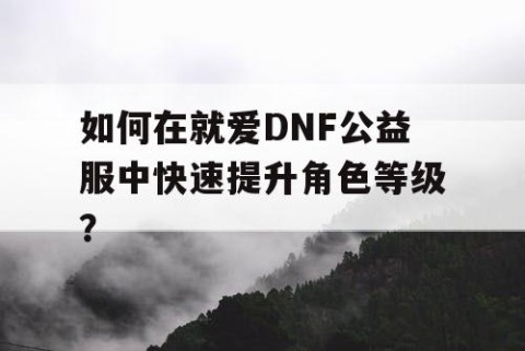 如何在就爱DNF公益服中快速提升角色等级？