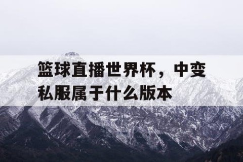 篮球直播世界杯，中变私服属于什么版本