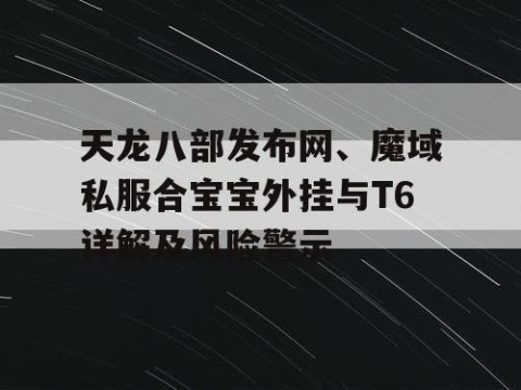 天龙八部发布网、魔域私服合宝宝外挂与T6详解及风险警示