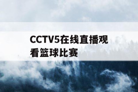 CCTV5在线直播观看篮球比赛