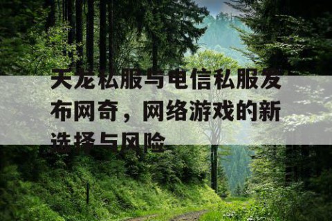 天龙私服与电信私服发布网奇，网络游戏的新选择与风险