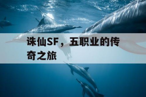 诛仙SF，五职业的传奇之旅