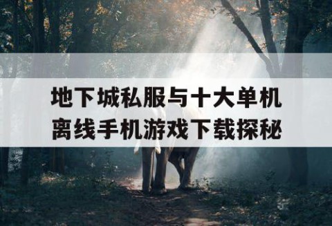 地下城私服与十大单机离线手机游戏下载探秘