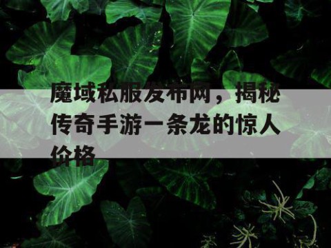 魔域私服发布网，揭秘传奇手游一条龙的惊人价格