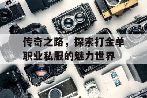 传奇之路，探索打金单职业私服的魅力世界