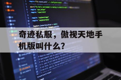 奇迹私服，傲视天地手机版叫什么？