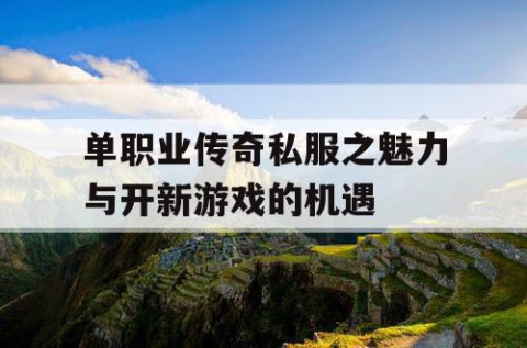 单职业传奇私服之魅力与开新游戏的机遇