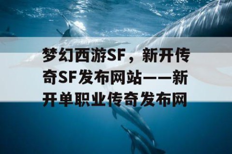 梦幻西游SF，新开传奇SF发布网站——新开单职业传奇发布网