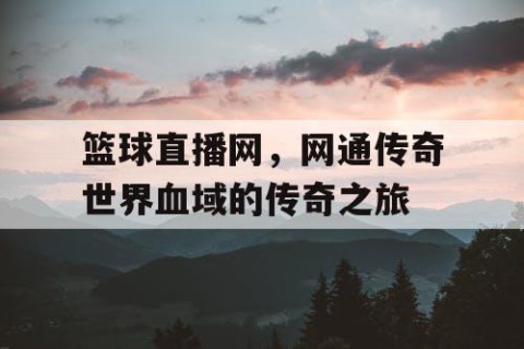 篮球直播网，网通传奇世界血域的传奇之旅