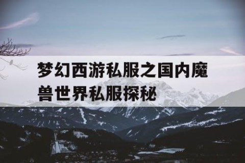 梦幻西游私服之国内魔兽世界私服探秘