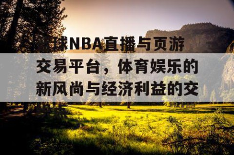 篮球NBA直播与页游交易平台，体育娱乐的新风尚与经济利益的交织点