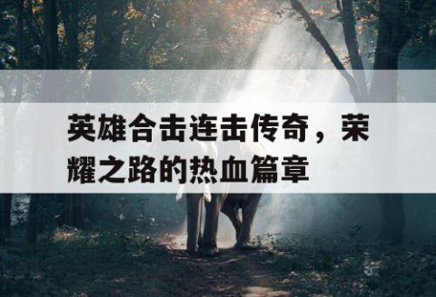 英雄合击连击传奇，荣耀之路的热血篇章