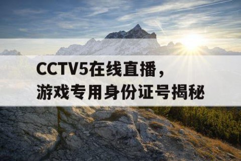 CCTV5在线直播，游戏专用身份证号揭秘