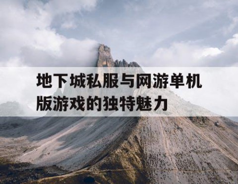地下城私服与网游单机版游戏的独特魅力